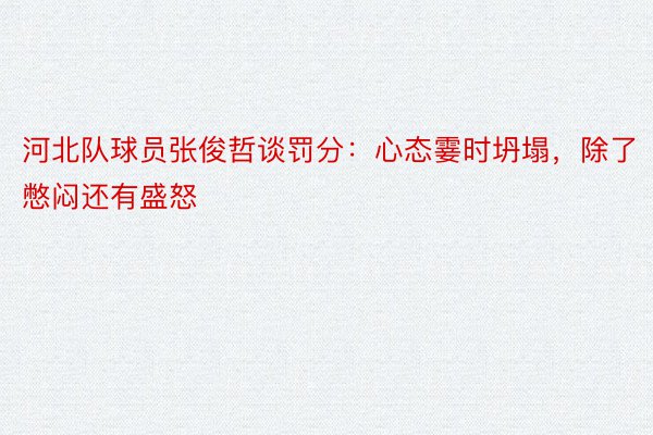河北队球员张俊哲谈罚分：心态霎时坍塌，除了憋闷还有盛怒